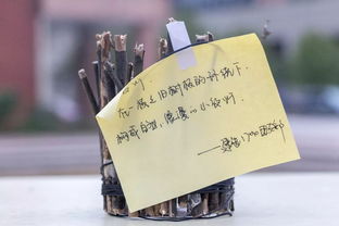 創(chuàng)意制作，一起開開腦洞