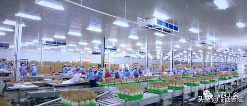 讓職工做企業(yè)的主人,河北光明九道菇暢通廠務(wù)公開渠道