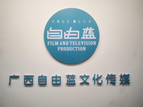 央媒品牌天下播報(bào)全國亞健康標(biāo)準(zhǔn)化建設(shè)新聞發(fā)布會在廣西南寧召開