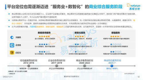 透視用戶需求深挖服務(wù)潛力 2022中國商業(yè)查詢行業(yè)洞察